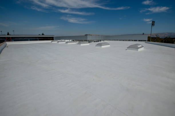 Skylights in Orchard Homes, MT