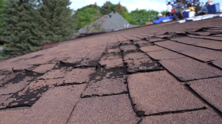 Fast & Reliable Emergency Roof Repairs in Orchard Homes, MT